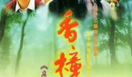 香樟树电视剧剧情介绍,岁月流转的青春记忆