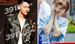 西夏死书电视剧,电视剧西夏死书剧情概览