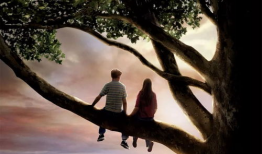 怦然心动电视剧,青春校园的甜蜜邂逅与成长之旅